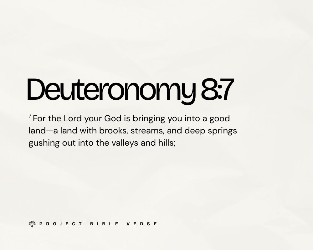 deuteronomy 87