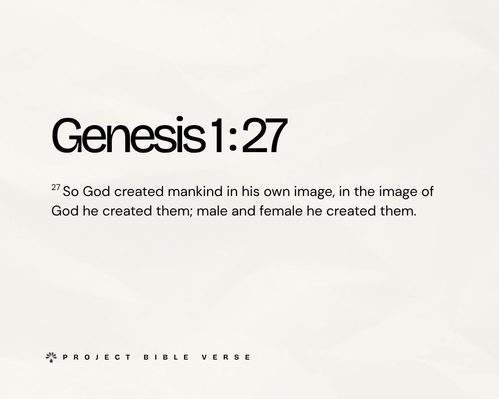 genesis 1 27