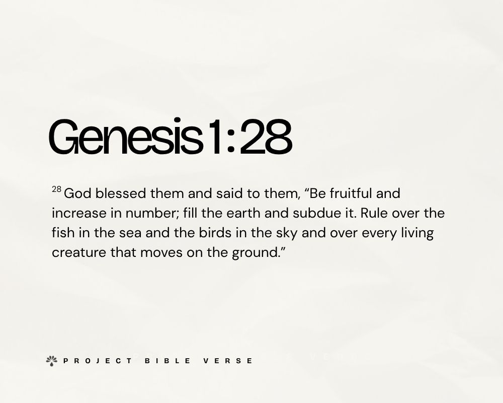 genesis 128