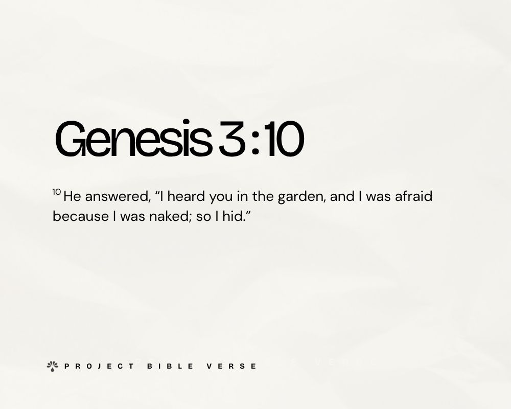 genesis 310