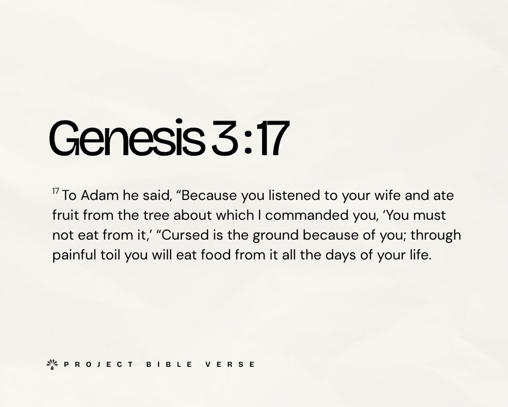 genesis 317