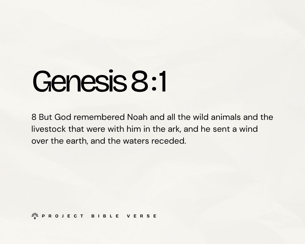 genesis 8 1
