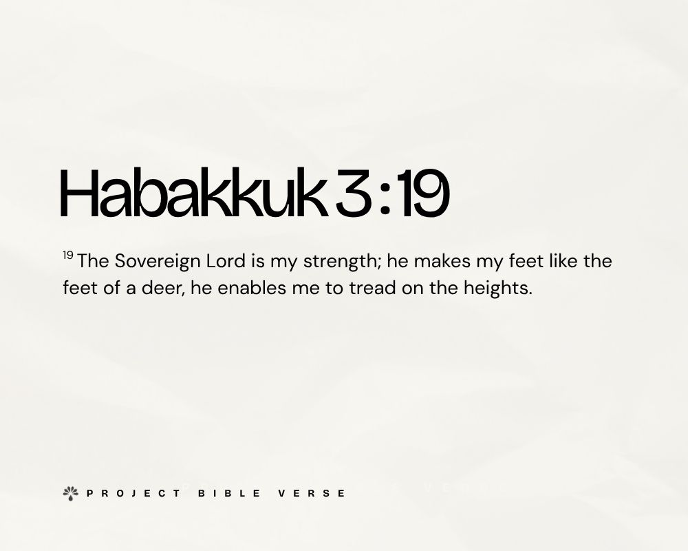 habakkuk 3 19