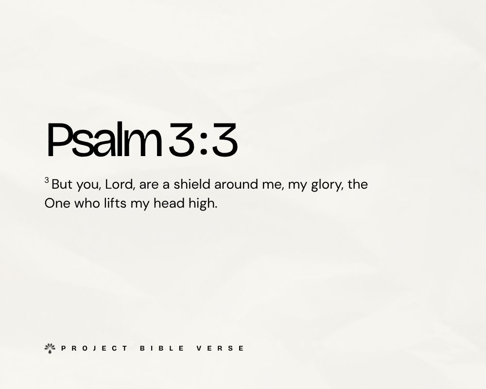 psalm 3 3